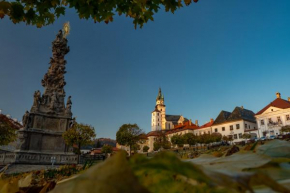 Apartmany Zechenterova Kremnica